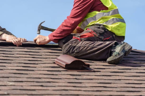 Best Metal Roofing Contractor  in Laurens, IA