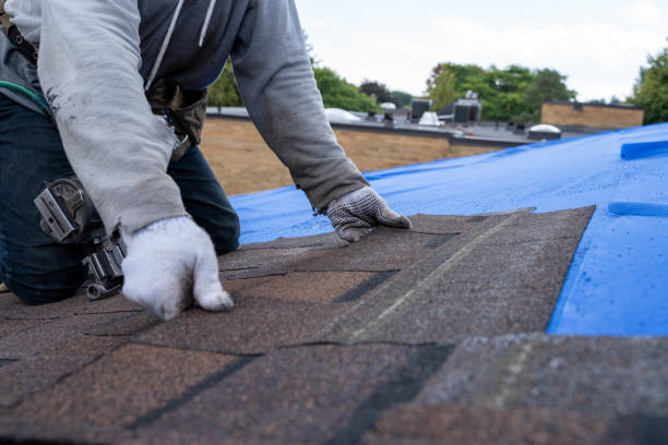 Best Roof Replacement Cost  in Laurens, IA