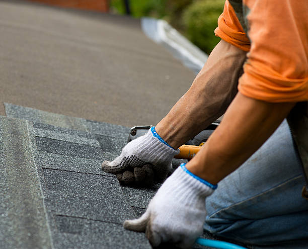Best Storm Damage Roof Repair  in Laurens, IA