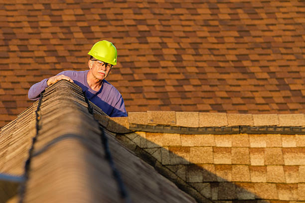 Best Shingle Roofing Installation  in Laurens, IA